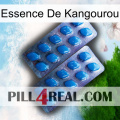Kangaroo Essence viagra2
